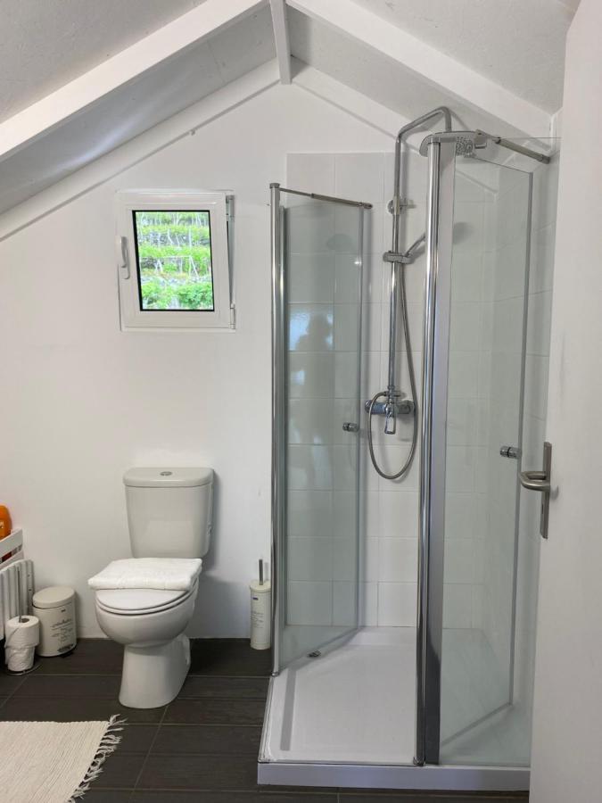 Ocean Garden, 4 Units By The Ocean Apartment