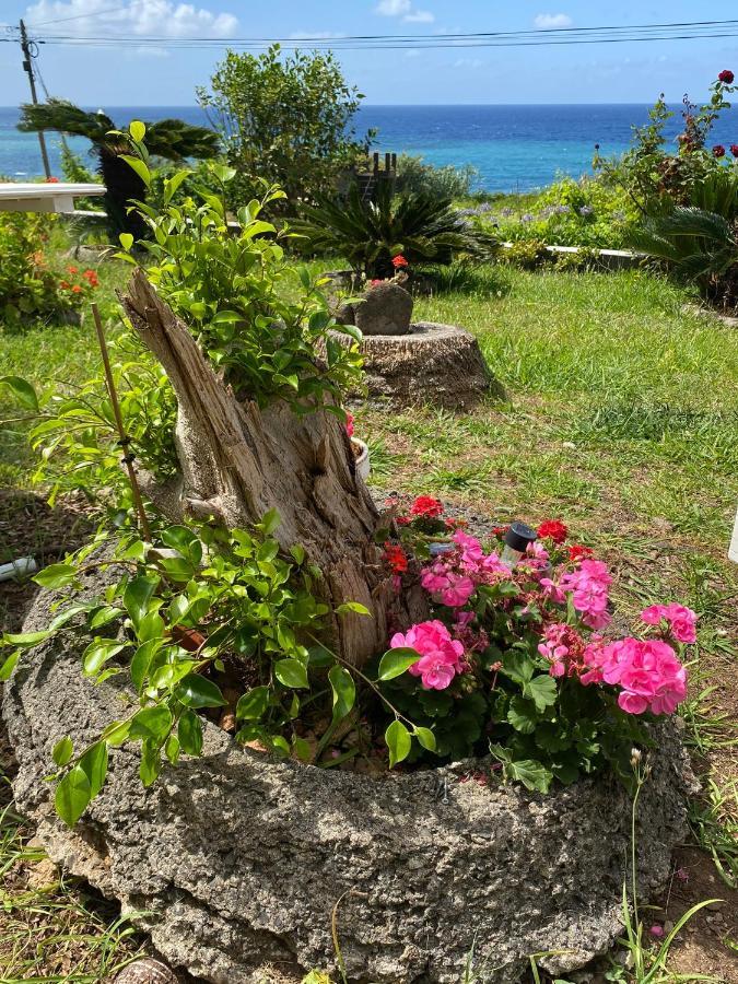 Ocean Garden, 4 Units By The Ocean Apartment Sao Vicente (Madeira)