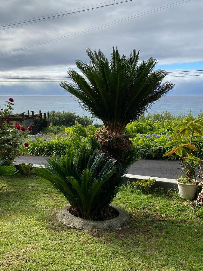 Ocean Garden, 4 Units By The Ocean