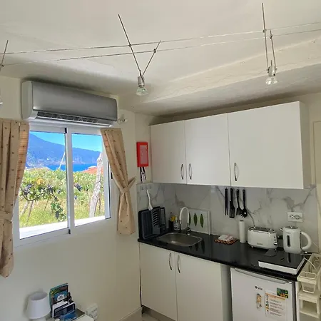 Ocean Garden, 4 Units By The Ocean Apartment Sao Vicente  Exterior photo